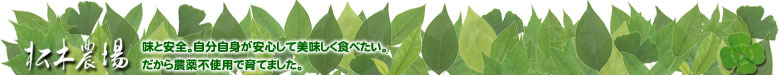 新潟県産無農薬米コシヒカリ（有機質肥料のみ使用）の通信販売なら全水田無農薬栽培の松木農場にお任せ下さい