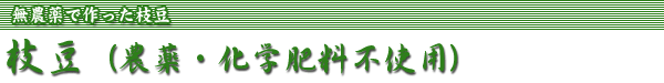 無農薬枝豆(えだまめ)