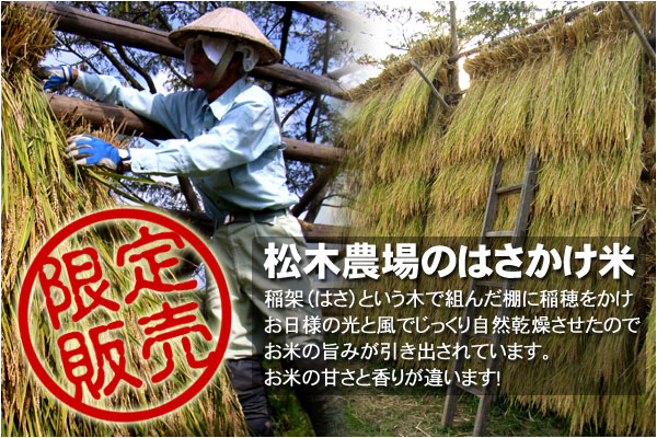 無農薬コシヒカリはさかけ米